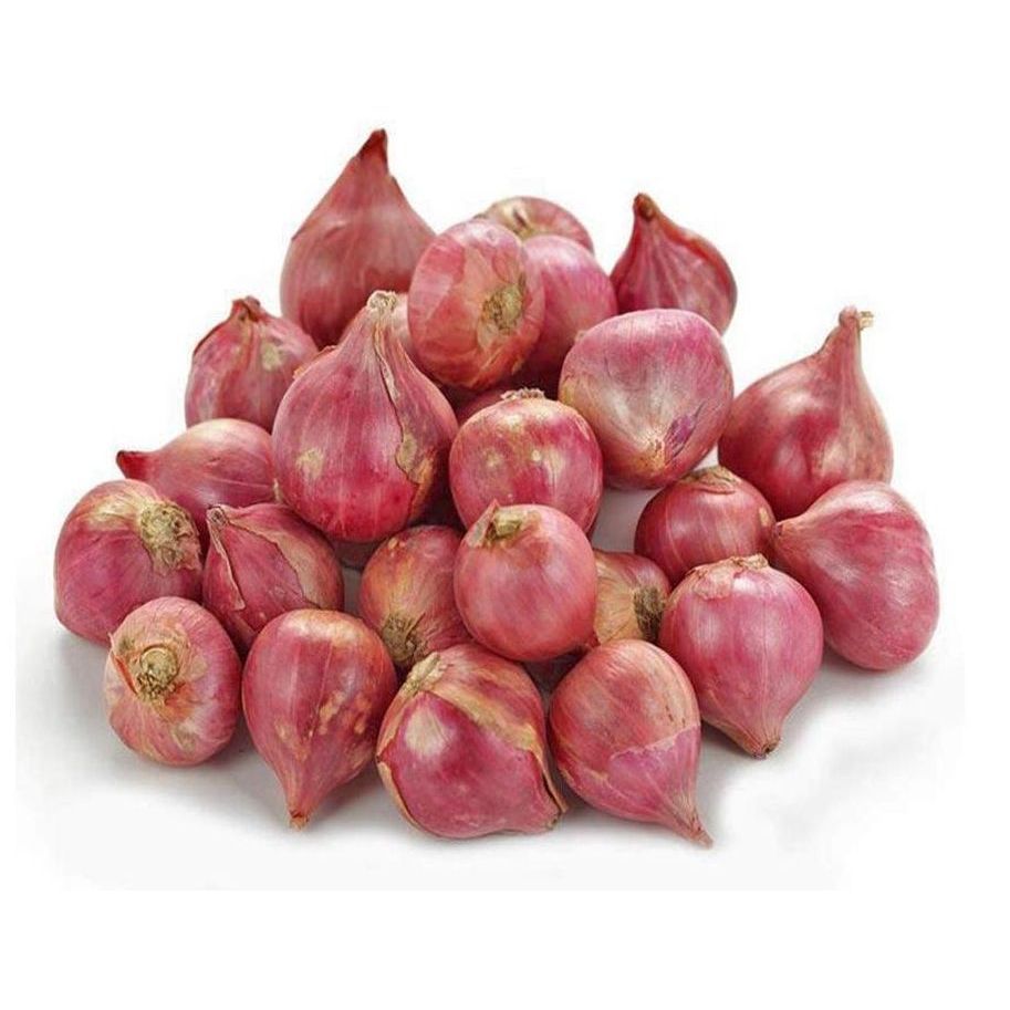 Bawang Putih Kating